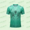 Camisa Verde da Torcida Brasil na Copa 2026