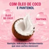 Kit Tratamento Capilar Cacheamos – Bio Instinto